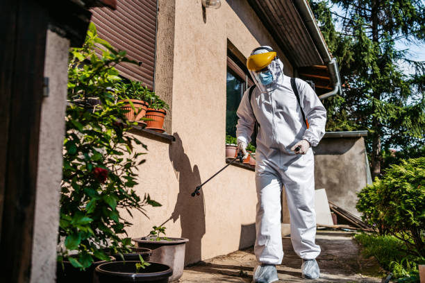 Best Termite Control Services  in Bellevue, PA