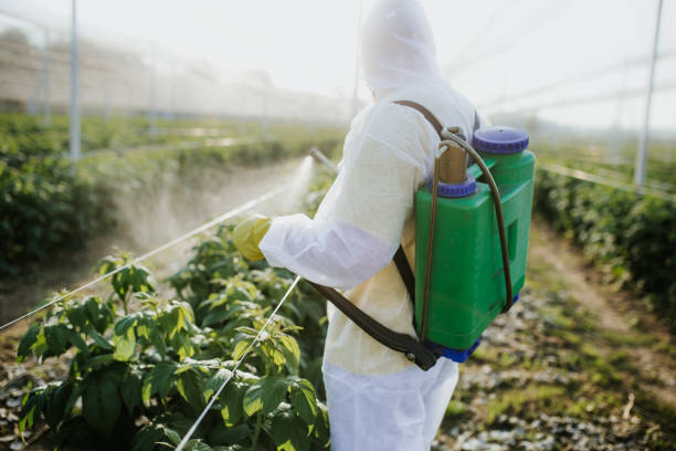 Pest Control for Restaurants in Bellevue, PA